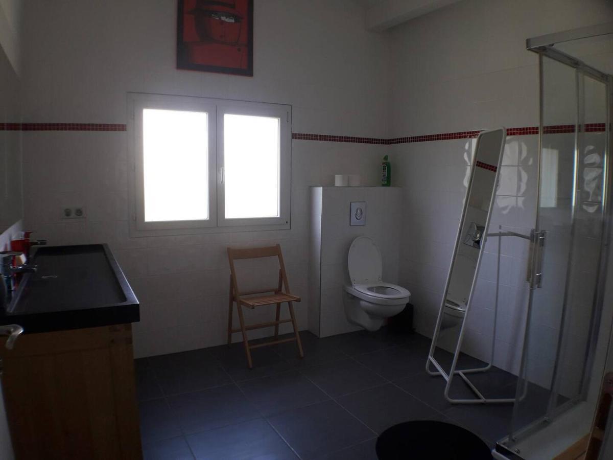Saint-Martin-la-Plaine170 M² Entre Lyon Et St Etienne别墅 外观 照片