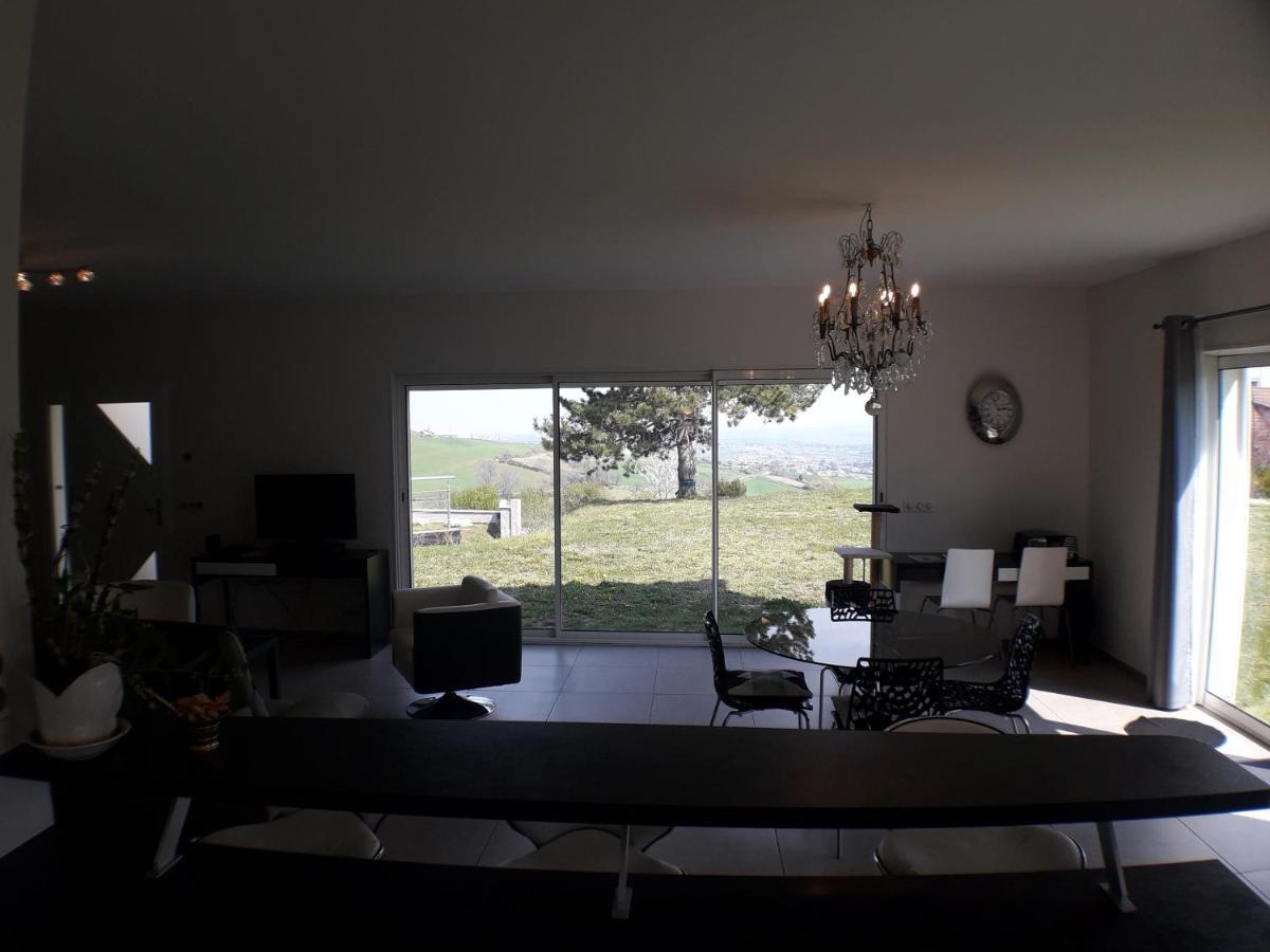 Saint-Martin-la-Plaine170 M² Entre Lyon Et St Etienne别墅 外观 照片