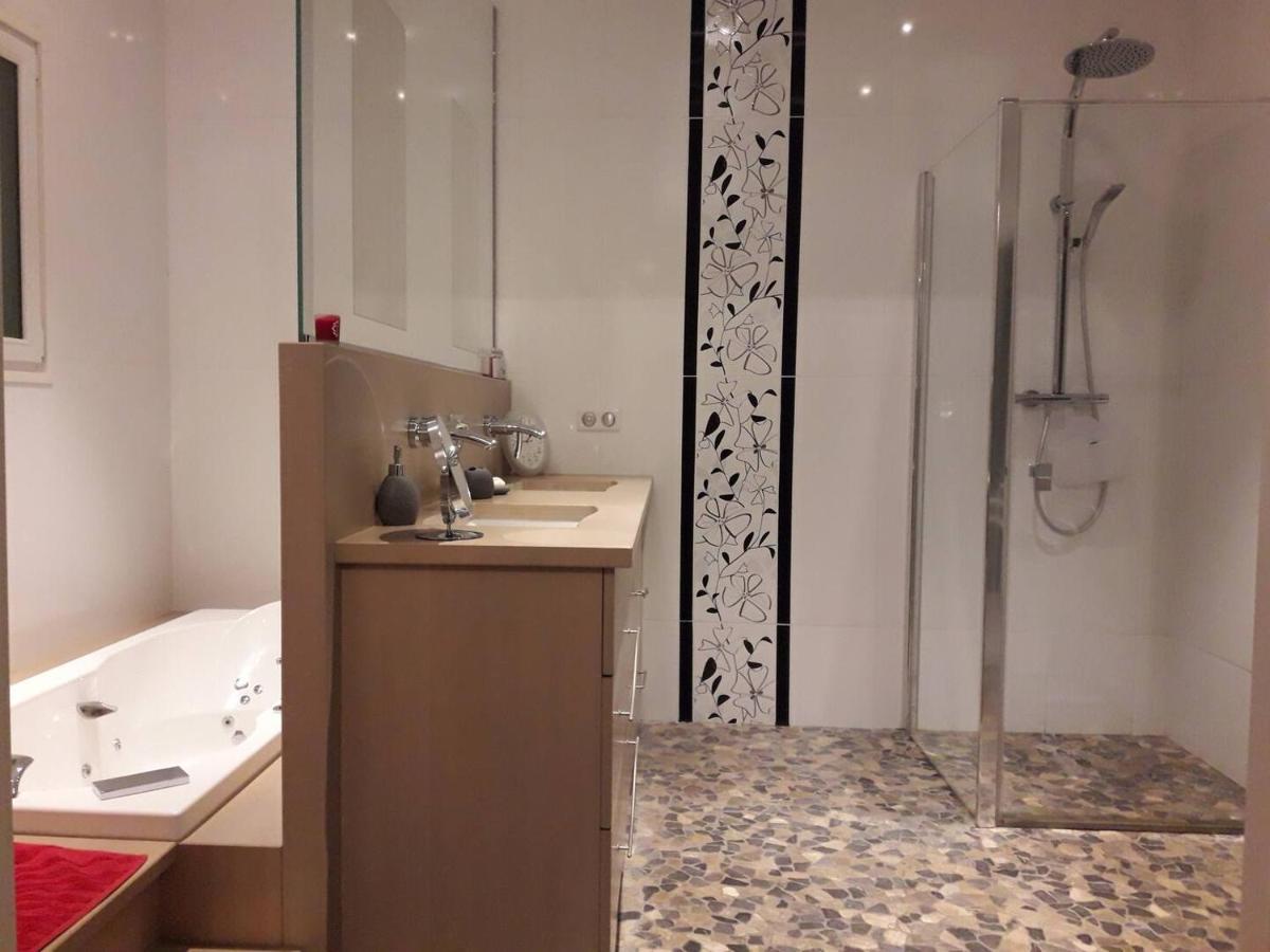 Saint-Martin-la-Plaine170 M² Entre Lyon Et St Etienne别墅 外观 照片